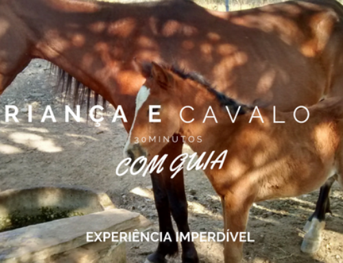 Andar a cavalo é uma experiência que toda criança deve ter